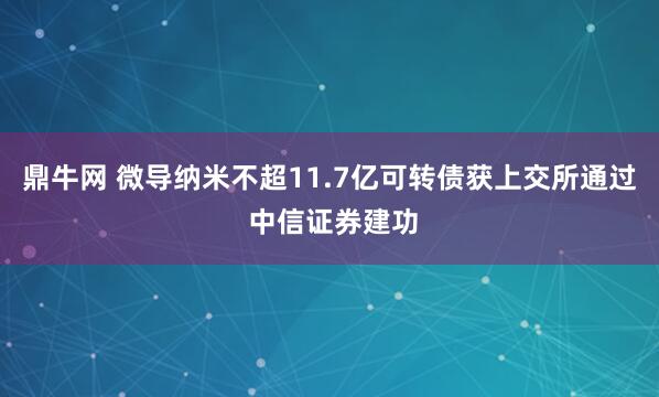 鼎牛网 微导纳米不超11.7亿可转债获上交所通过 中信证券建功
