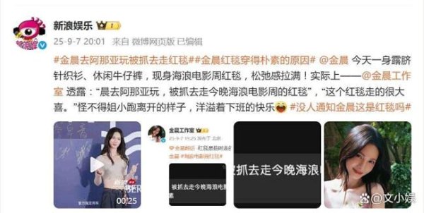 七星配资  工作室回应金晨红毯造型争议 意外登场成清流